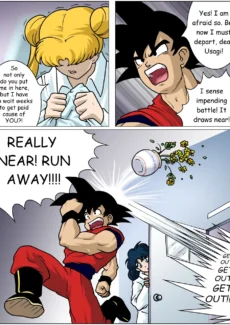 ASH1-19