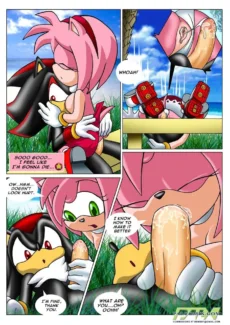 Sonic XxX Project005