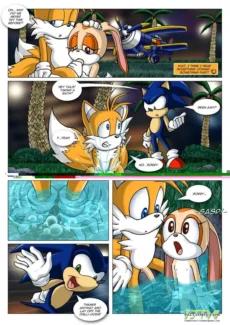 Sonic XxX Project008