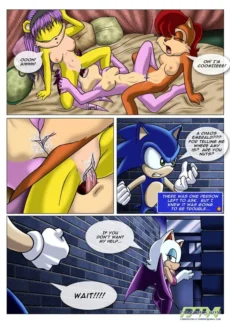 Sonic XxX Project014