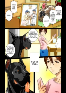 Wonderful Life (42)