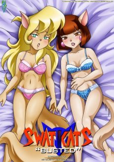 Swat Kats- Busted1