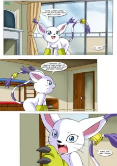 page13