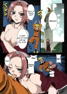 Naruto-Sakurasaku (11)