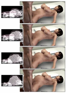 Large Attractions 3D Miasma (19)