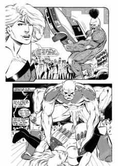Superheroine Comics-SYFOX (4)