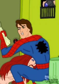 Spider-Man – The Animated Series (25)
