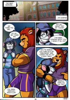 11-img