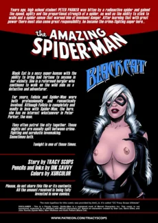 Amazing Spider-Man and Black Cat (3)