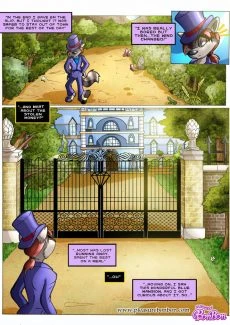 Bon Bon-Raccoon Business 2 (4)