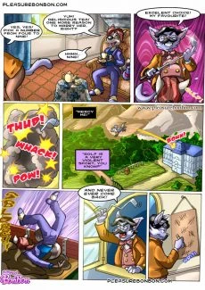Bon Bon-Raccoon Business 2 (8)