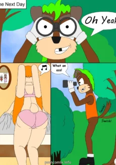 24