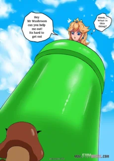 003