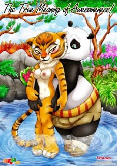 Kung Fu Panda- True Meaning of Awesomeness