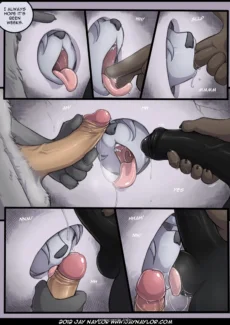 03