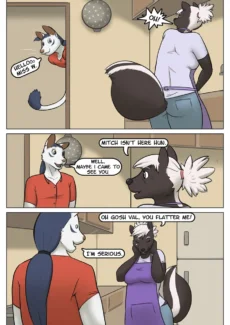 003