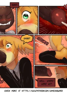 14-picsx