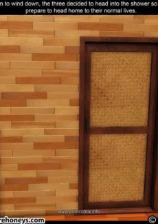 finhani3d9032