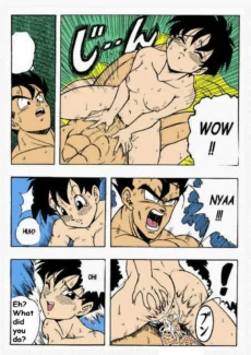 gohan-x-videl-11