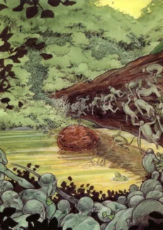 The Swarm (31)