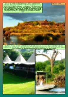 Africanized Part 2012