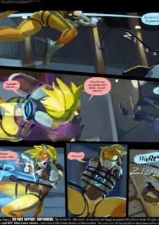 Afterwatch005