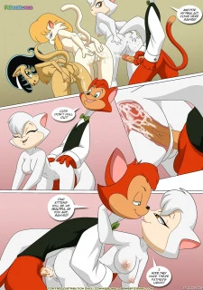 Pussy Cats008