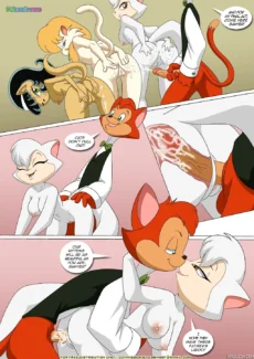 Pussy Cats008