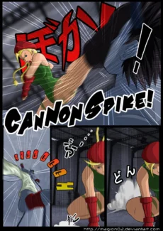 S.Fighter VS Tekken027