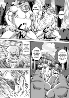 Elf Hime005