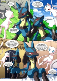 Lucario’s Gift003