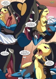 Lucario’s Gift011