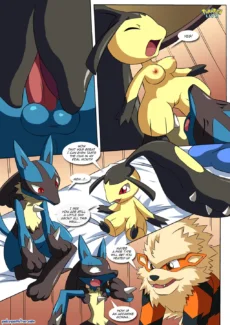 Lucario’s Gift012