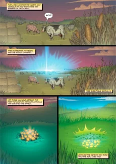 Farm Grown Summer 1-03