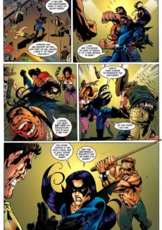 Nightbird (20)