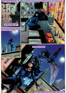 Nightbird (26)