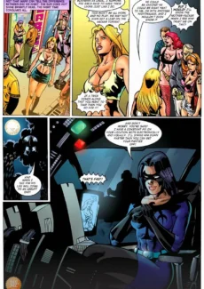 Nightbird (35)