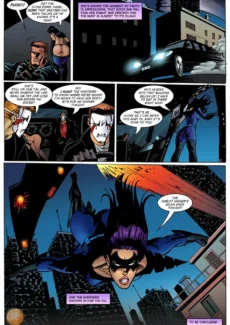 Nightbird (41)