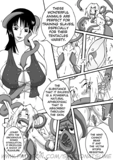 Pirates VS Ninjas014