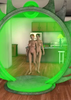 Dickgirl Chronicles 3 (7)