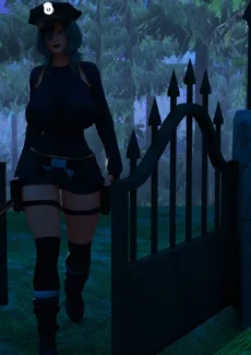 Investigation (6)