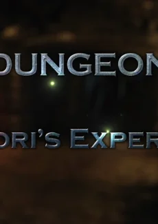 Syndori’s Experience (1)