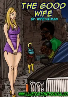 Illustratedinterracial- The Good Wife – info