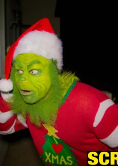 The Grinch (109)