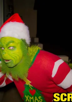 The Grinch (110)