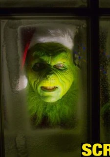 The Grinch (113)