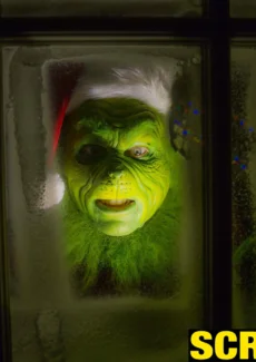 The Grinch (113)