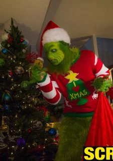 The Grinch (114)