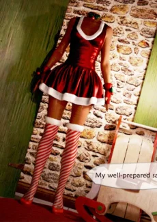 Santa’s Night (26)