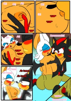 Shadow & Rouge006